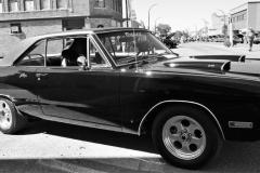 DSC_0869-2BW