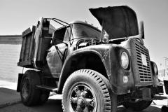 DSC_0878-3E