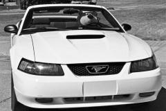 DSC_0913-2E